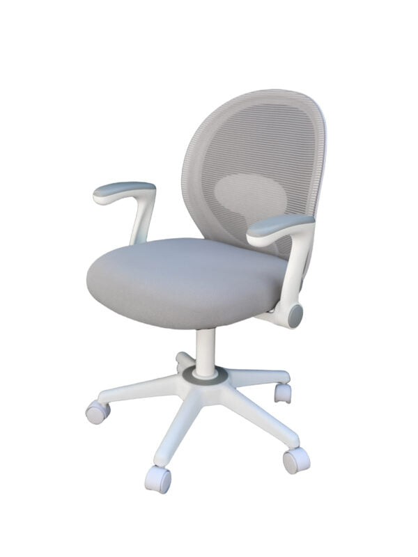 Boss Grey Mesh, Flip Arm, Task Chair, White Frame